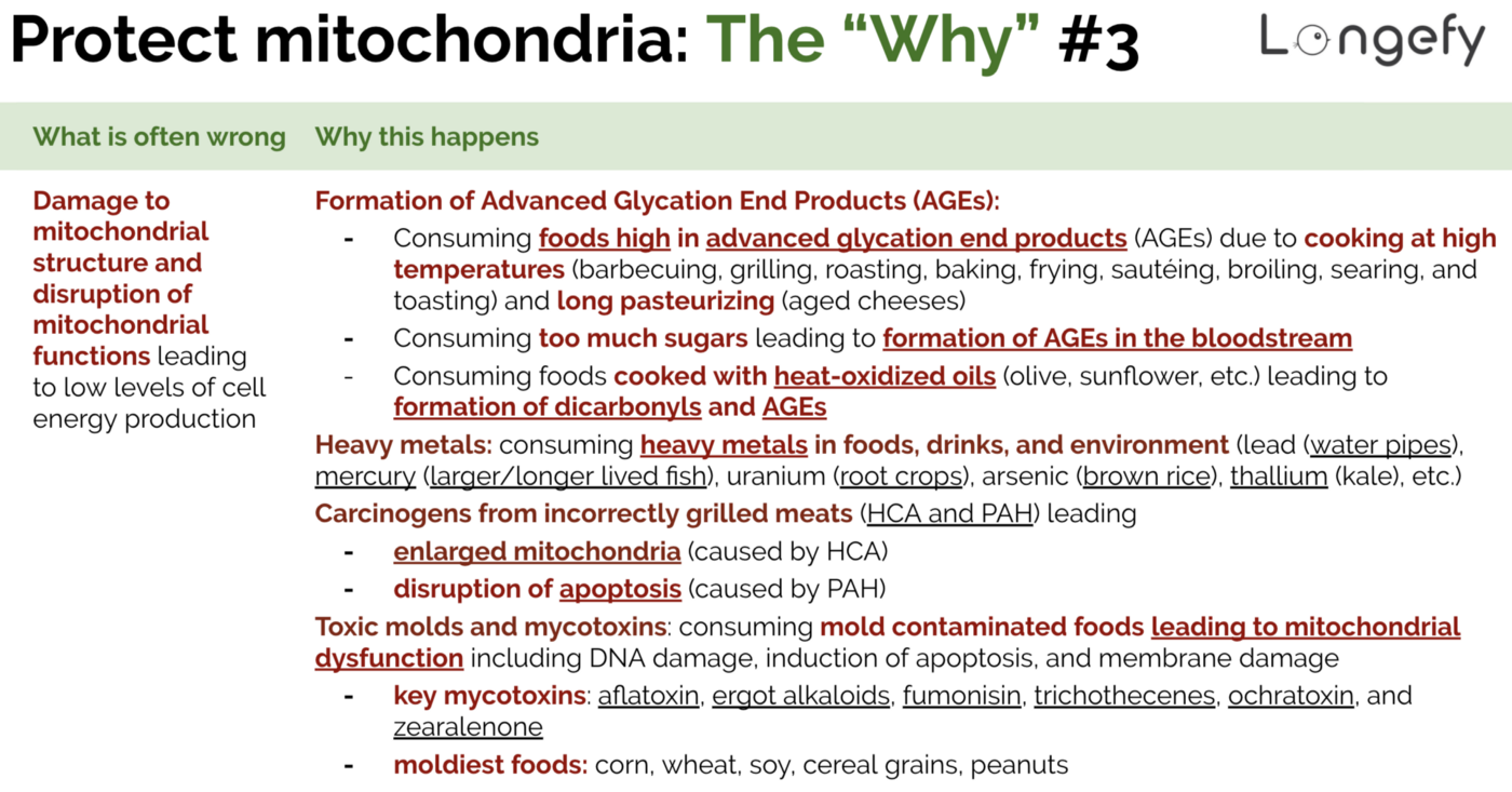 mitochondria - the why 3.png