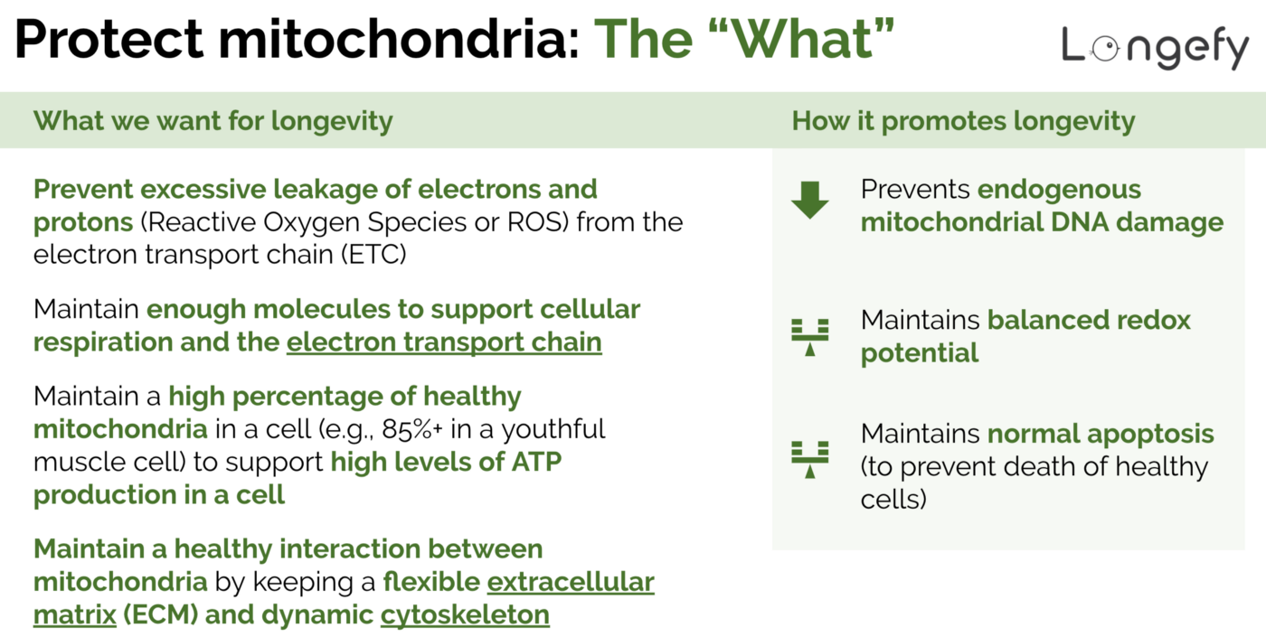 Improve cellular energy: the “What”