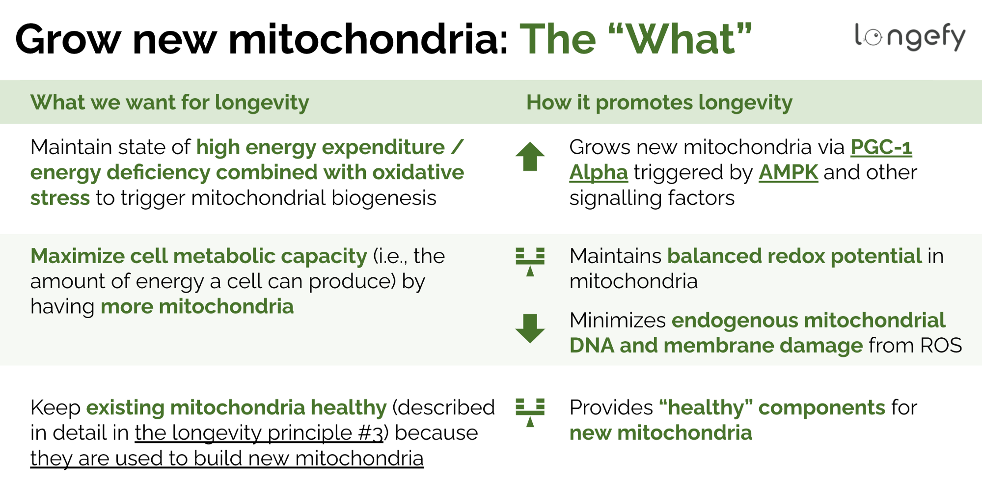 Grow new mitochondria: the “What”