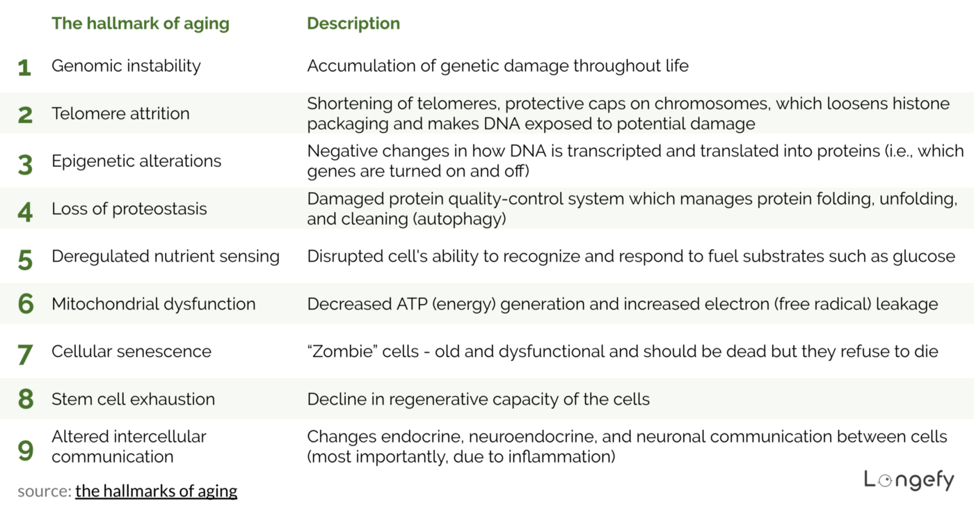 Description of the 9 hallmarks of aging; sources: the hallmarks of aging , image by longefy