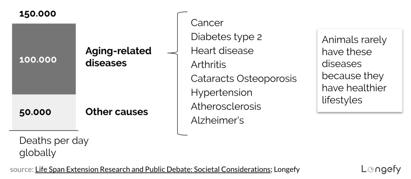 Deaths per day globally and its causes; sources: Life Span Extension Research , image by longefy