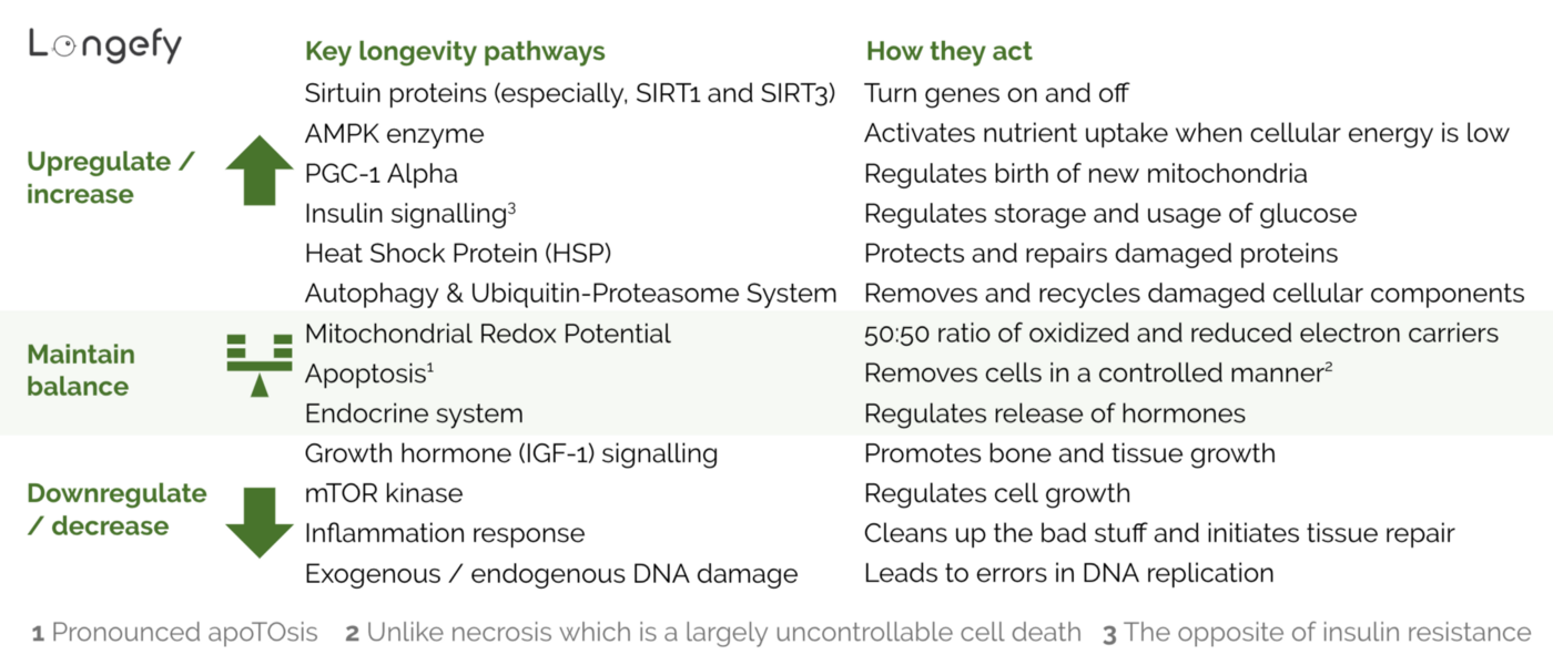 Research shows that managing these pathways can prevent aging and extend lifespan